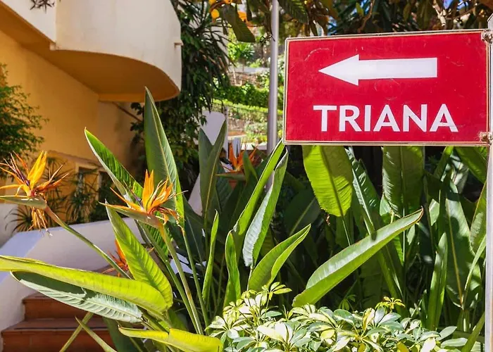 Spacious Near Puerto Banus Apartman